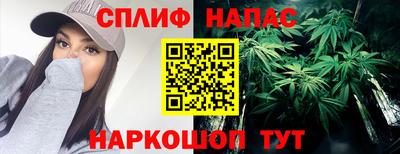 тгк Дубна