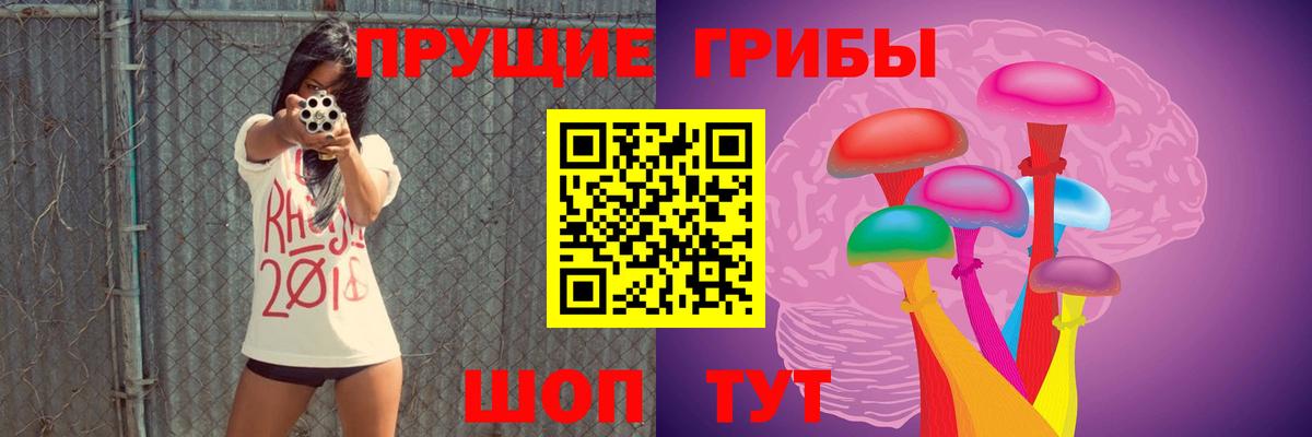 Лосино-Петровский  Галлюциногенные грибы GOLDEN TEACHER  Псилоцибиновые грибы мицелий  Вход с VPN 